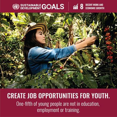 sustainable development job youth aifarmtech.com